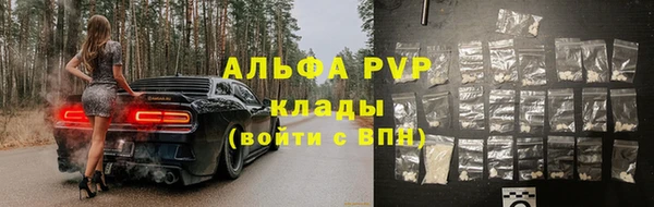прущие грибы Пестово